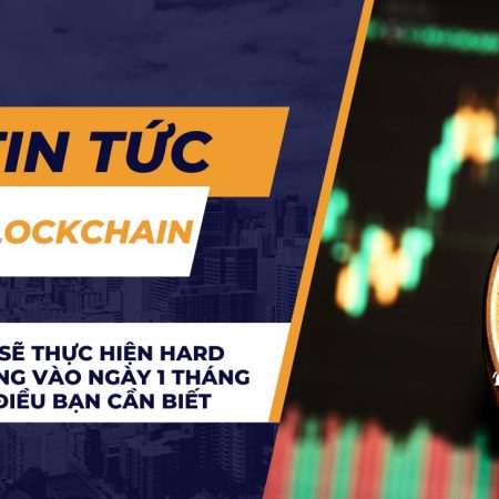 Cardano Sẽ Thực Hiện Hard Fork Chang Vào Ngày 1 Tháng 9: Những điều bạn cần biết