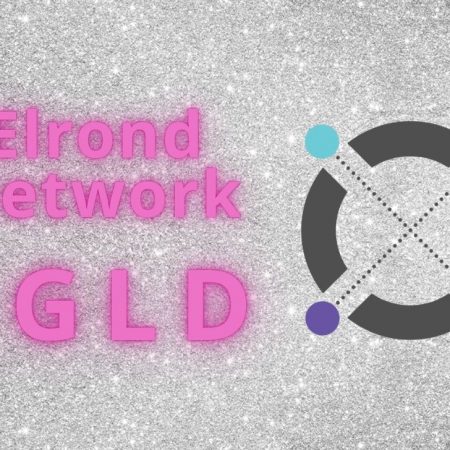 Elrond Network là gì? Đánh giá tiềm năng dự án EGLD coin