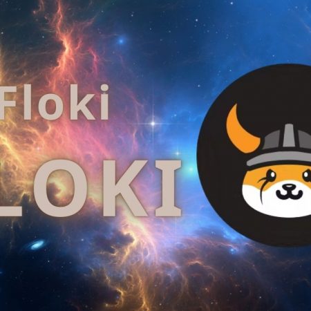 Floki coin là gì? Đánh giá tiềm năng của dự án FLOKI