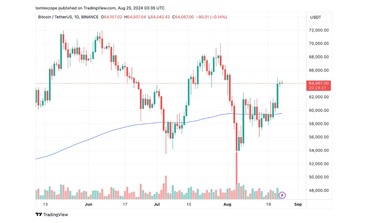 Giá Bitcoin tăng lên quanh mức 64.000 đô la trên khung thời gian hàng ngày | Nguồn: Biểu đồ BTCUSDT trên TradingView