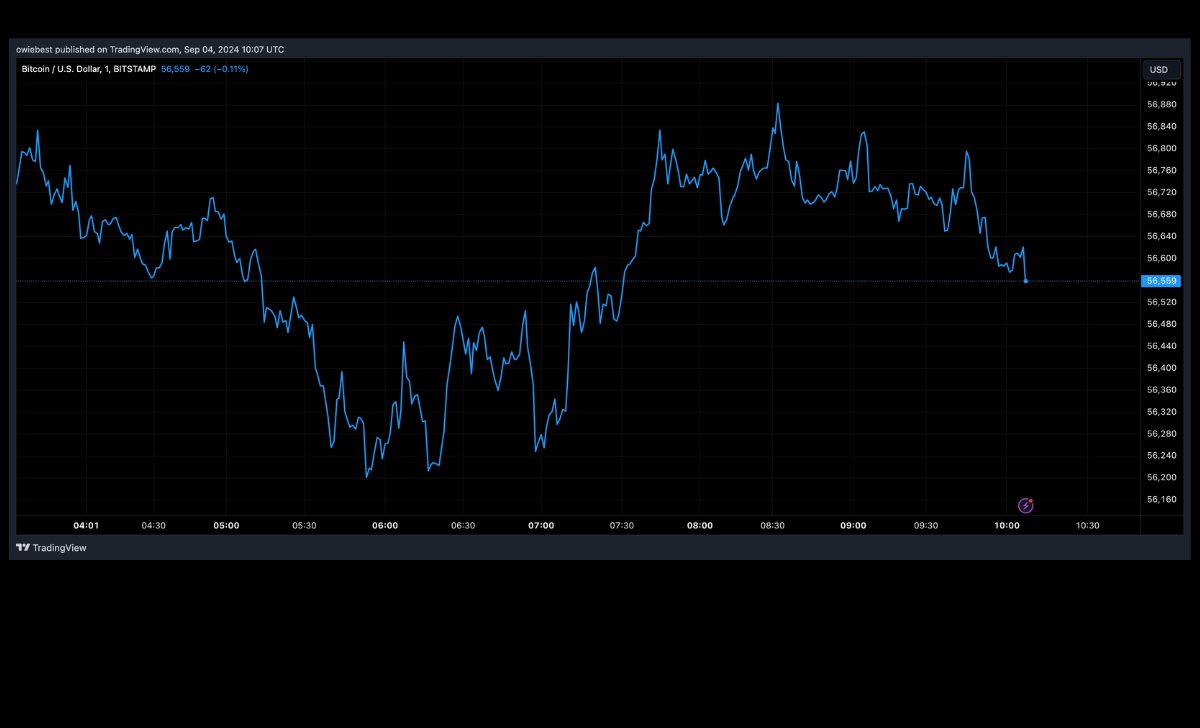 Giá BTC ở mức 56.000 đô la | Nguồn: BTCUSD trên Tradingview.com
