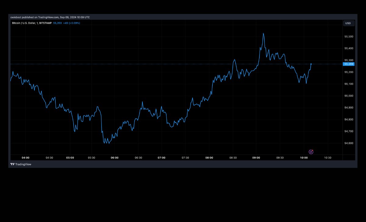 Giá BTC vẫn giữ mức 55.000 đô la | Nguồn: BTCUSD trên Tradingview.com