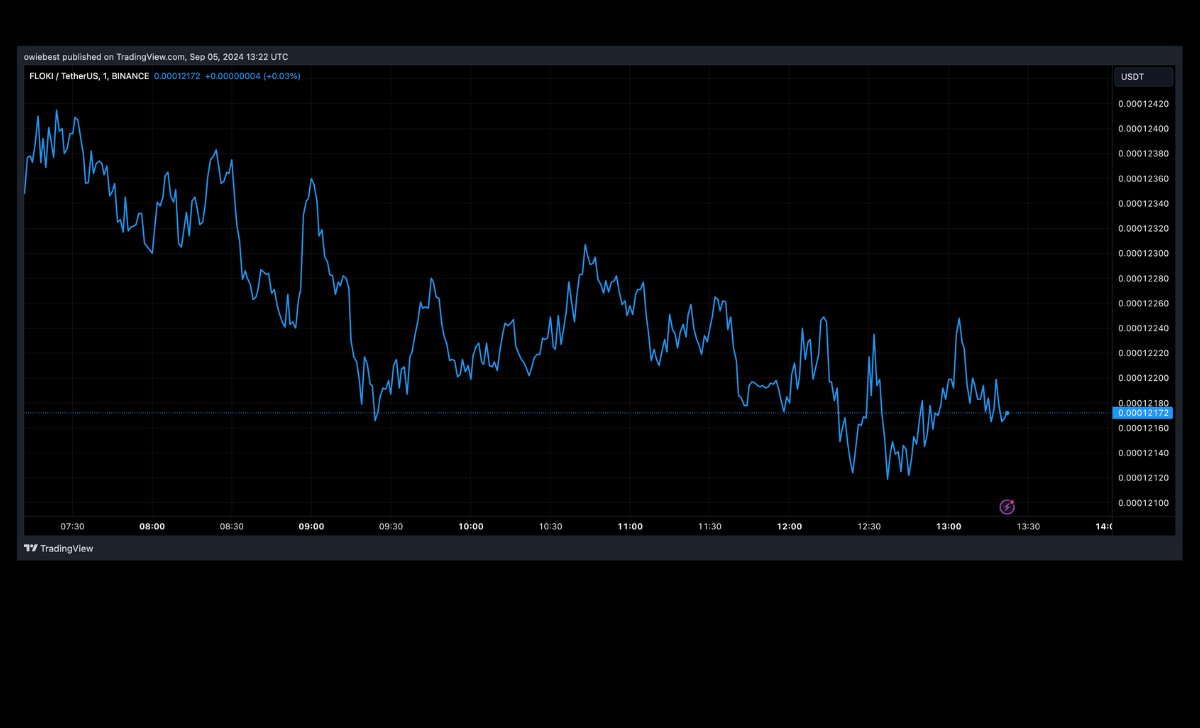 Giá tiếp tục biến động | Nguồn: FLOKIUSDT trên Tradingview.com