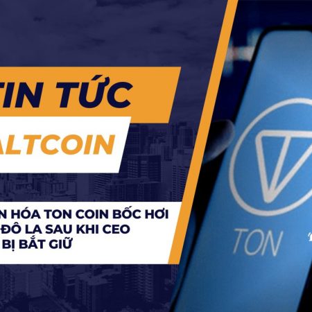 Giá trị vốn hóa TON coin bốc hơi mất 2,7 tỷ đô la sau khi CEO Telegram bị bắt giữ