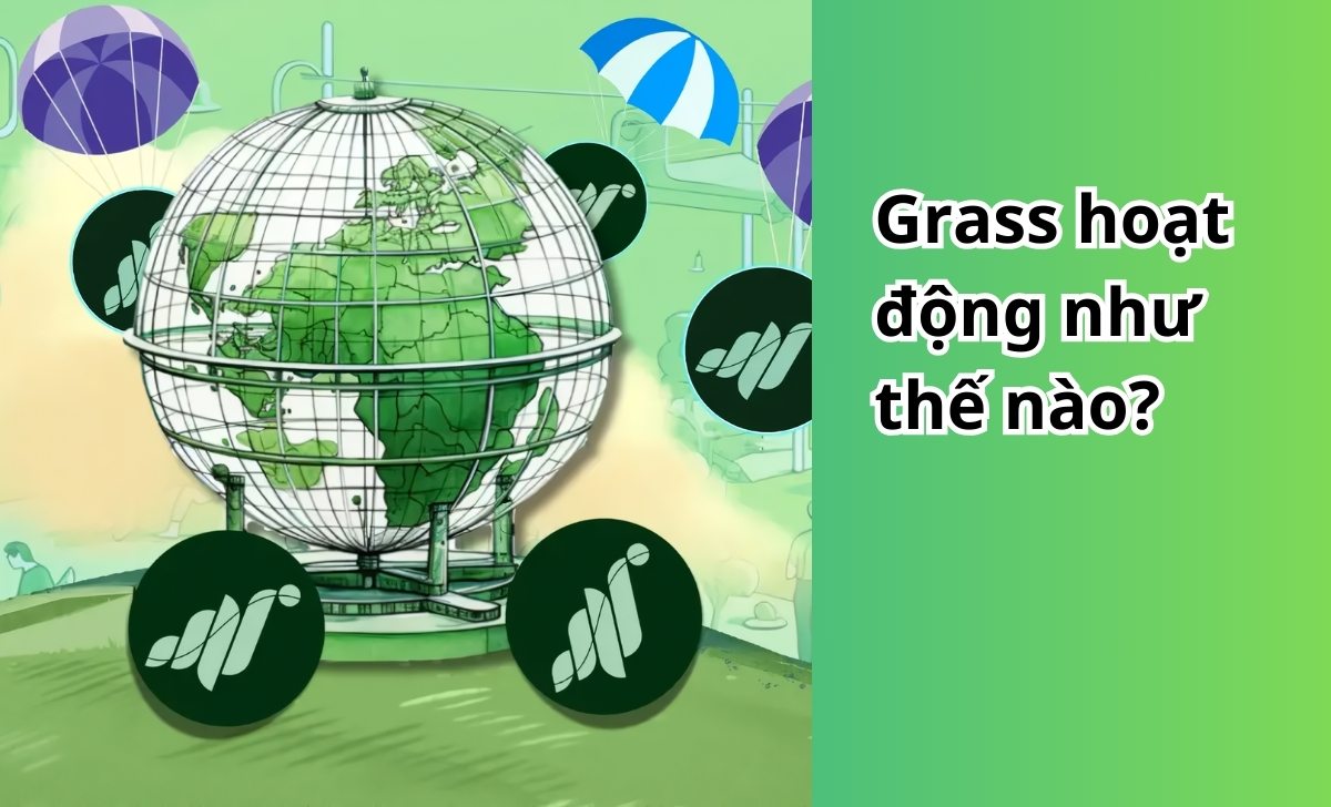 Grass hoạt động như thế nào?