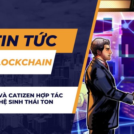 HashKey và Catizen hợp tác mở rộng hệ sinh thái TON