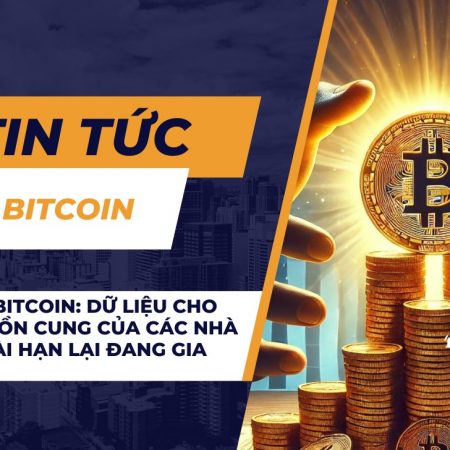 HODLing Bitcoin: Dữ liệu cho thấy nguồn cung của các nhà đầu tư dài hạn lại đang gia tăng