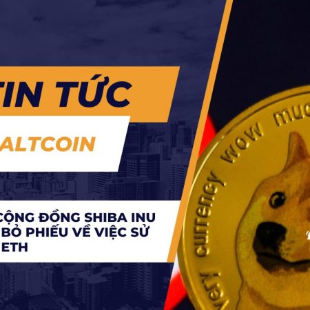 Kết quả: Cộng đồng Shiba Inu hoàn tất bỏ phiếu về việc sử dụng 37,5 ETH