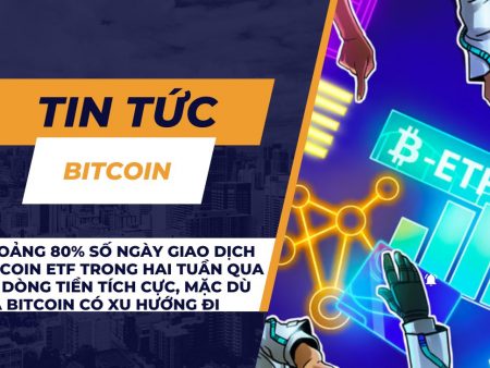 Khoảng 80% số ngày giao dịch Bitcoin ETF trong hai tuần qua có dòng tiền tích cực, mặc dù giá Bitcoin có xu hướng đi ngang