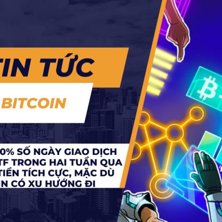 Khoảng 80% số ngày giao dịch Bitcoin ETF trong hai tuần qua có dòng tiền tích cực, mặc dù giá Bitcoin có xu hướng đi ngang