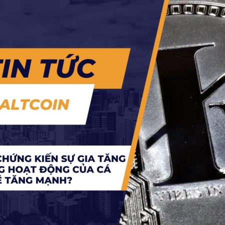 Litecoin chứng kiến sự gia tăng lớn trong hoạt động của cá voi: Giá sẽ tăng mạnh?