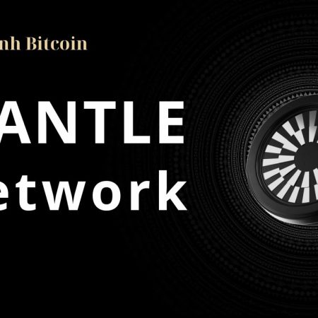 Mantle Network là gì? Đánh giá Layer2 blockchain từ phát triển BitDAO