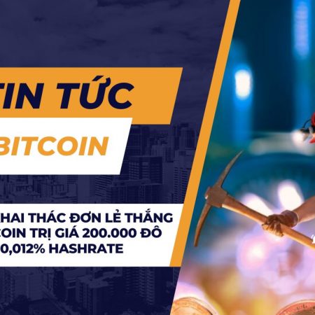 Một thợ khai thác đơn lẻ thắng xổ số Bitcoin trị giá 200.000 đô la chỉ với 0,012% hashrate