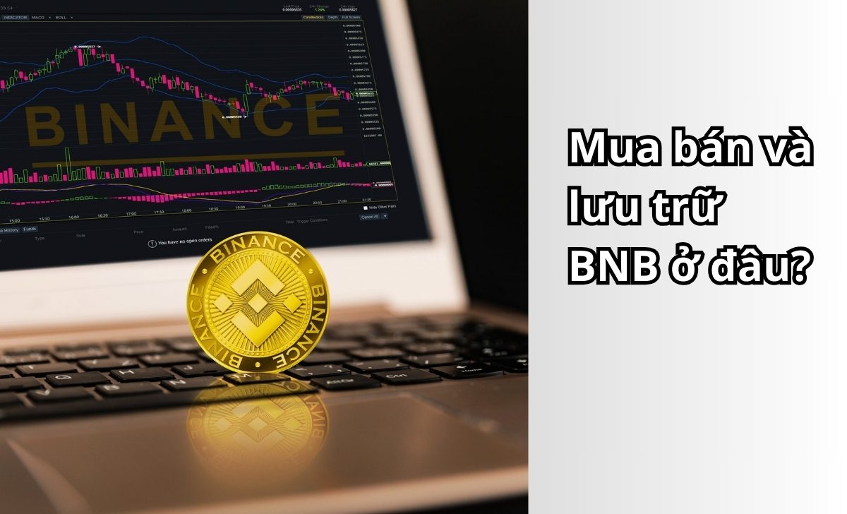 Mua bán và lưu trữ BNB ở đâu?