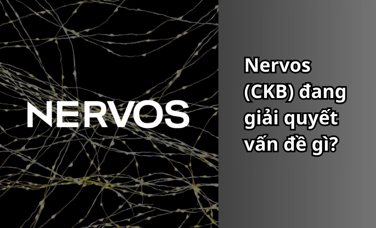 Nervos (CKB) đang giải quyết vấn đề gì?