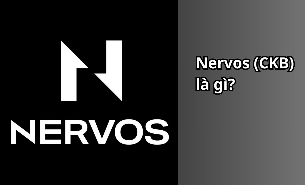 Nervos (CKB) là gì?