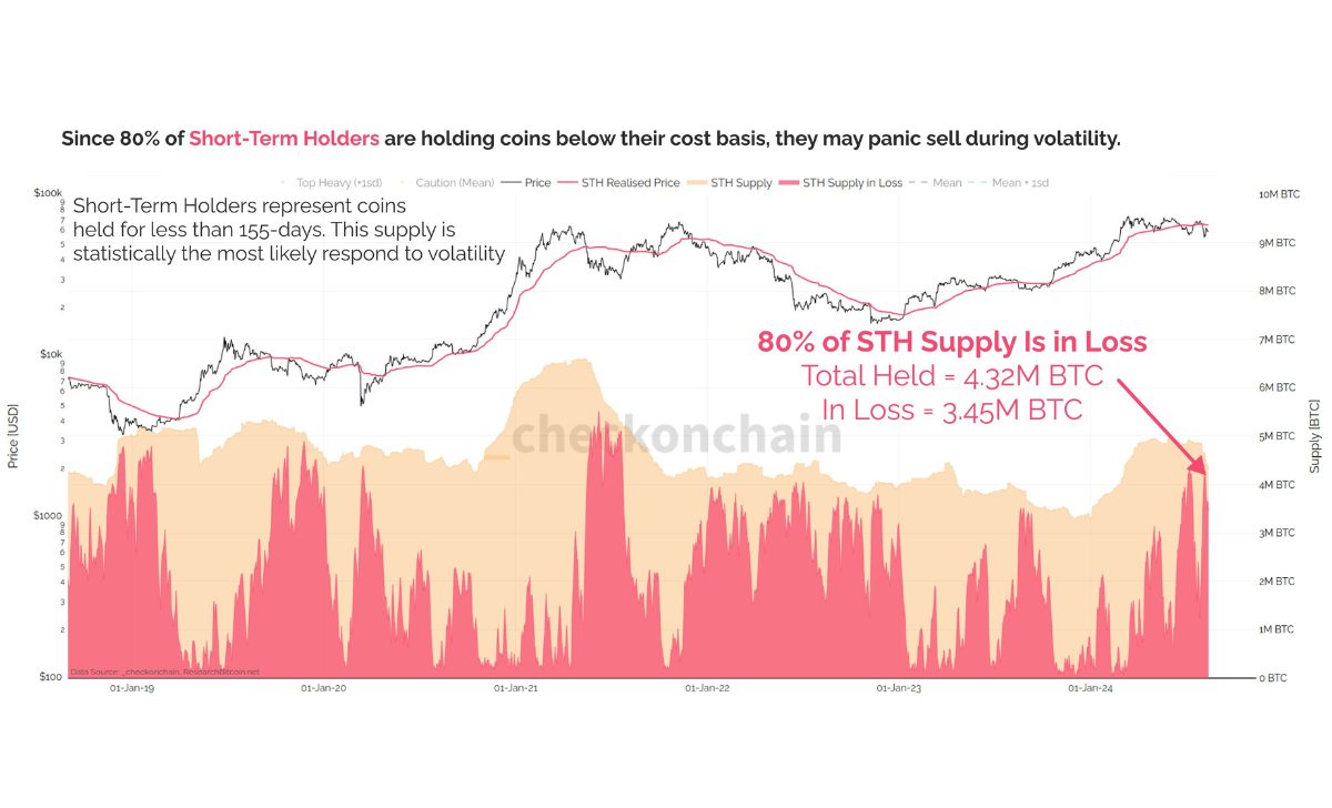 Nguồn cung BTC cho người nắm giữ ngắn hạn cao đang thua lỗ. Nguồn: James Check

