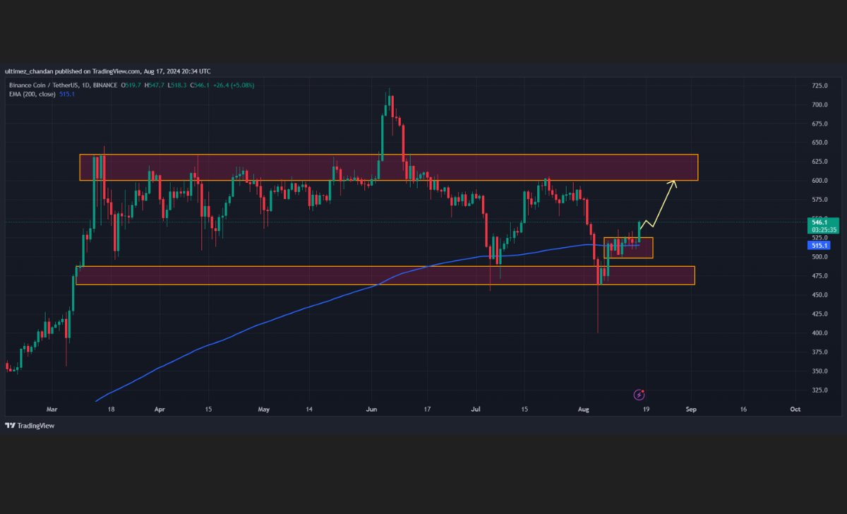  Nguồn: Trading View