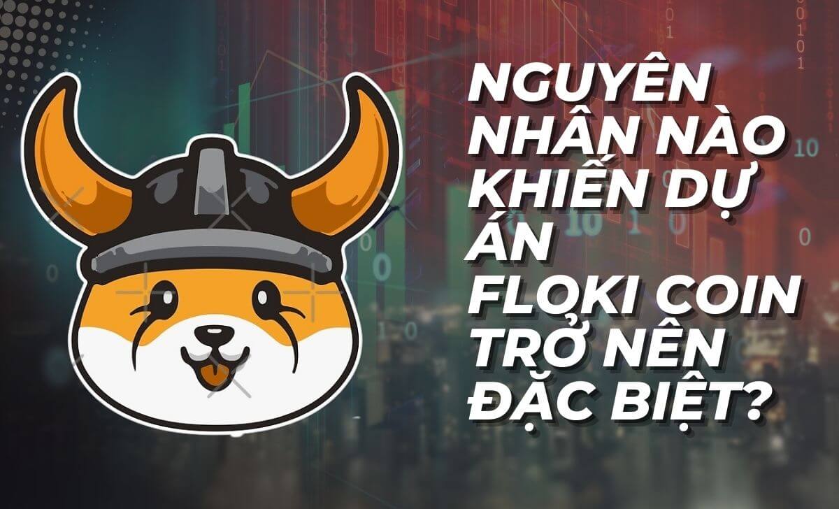 Tìm hiểu lý do khiến dự án Floki coin trở nên đặc biệt