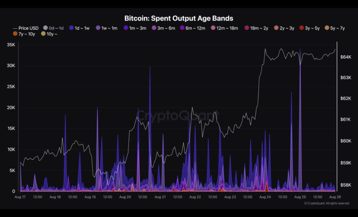 Những người nắm giữ ngắn hạn đã chuyển 33.155 Bitcoin trong những tuần gần đây. Nguồn: CryptoQuant