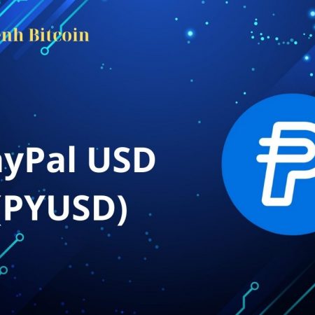 PayPal USD (PYUSD) là gì? Tìm hiểu về Stablecoin độc đáo của PayPal