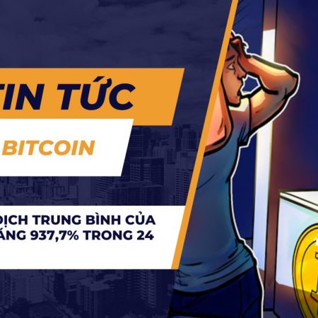 Phí giao dịch trung bình của Bitcoin tăng 937,7% trong 24 giờ