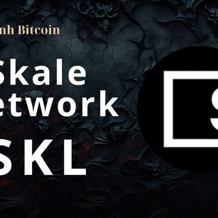 Skale Network (SKL) là gì? Tiềm năng của đồng tiền điện tử SKL token