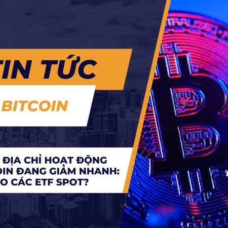 Số lượng địa chỉ hoạt động của Bitcoin đang giảm nhanh: Có phải do các ETF Spot?