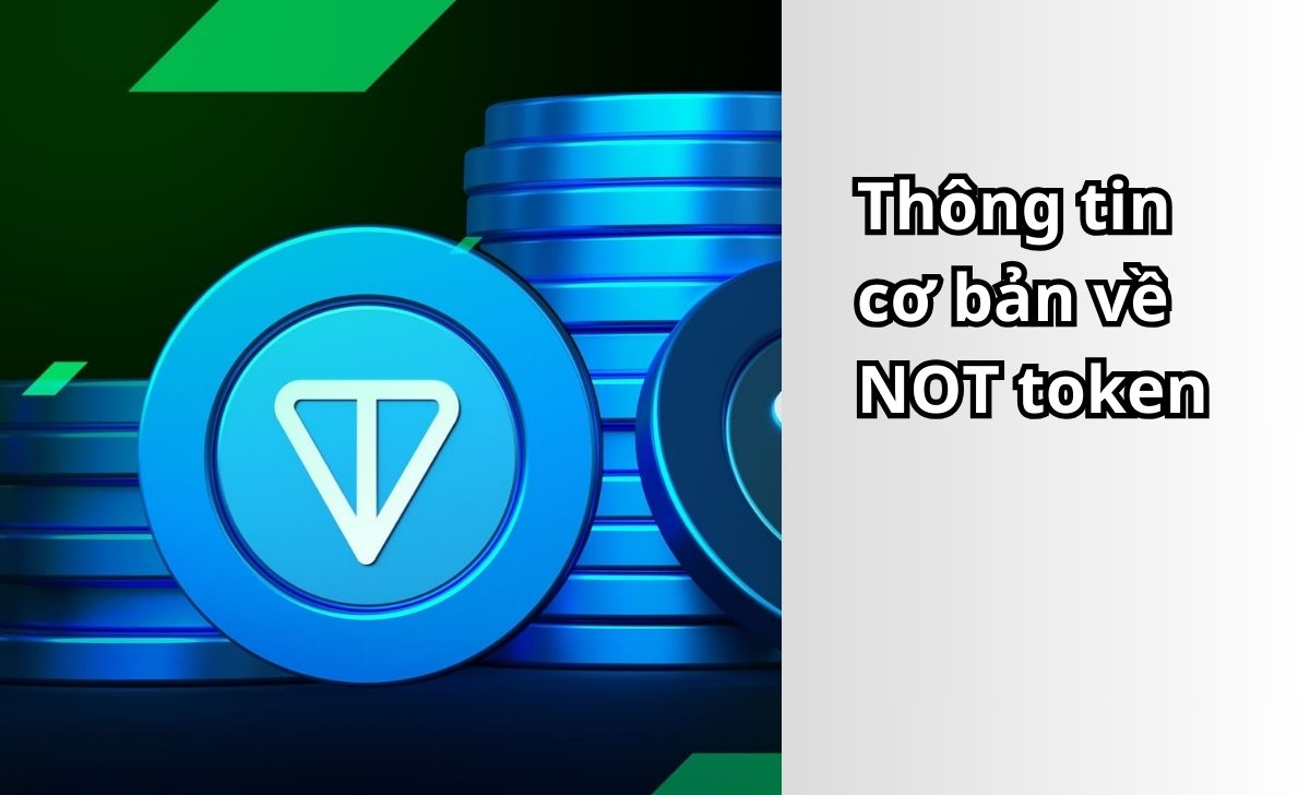 Thông tin cơ bản về NOT token