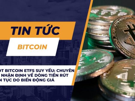 Spot Bitcoin ETFs suy yếu: Chuyên gia nhận định về dòng tiền rút liên tục do biến động giá