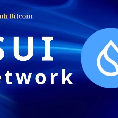 SUI là gì? Thông tin và đánh giá chi tiết về dự án SUI Network