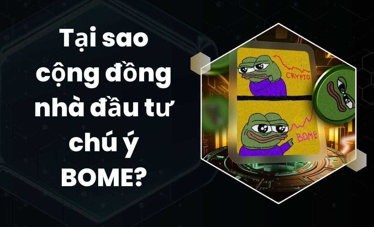 Lý do cộng đồng nhà đầu tư chú ý BOME