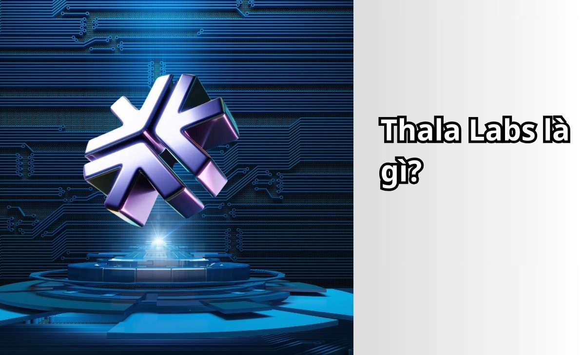 Thala Labs là gì?