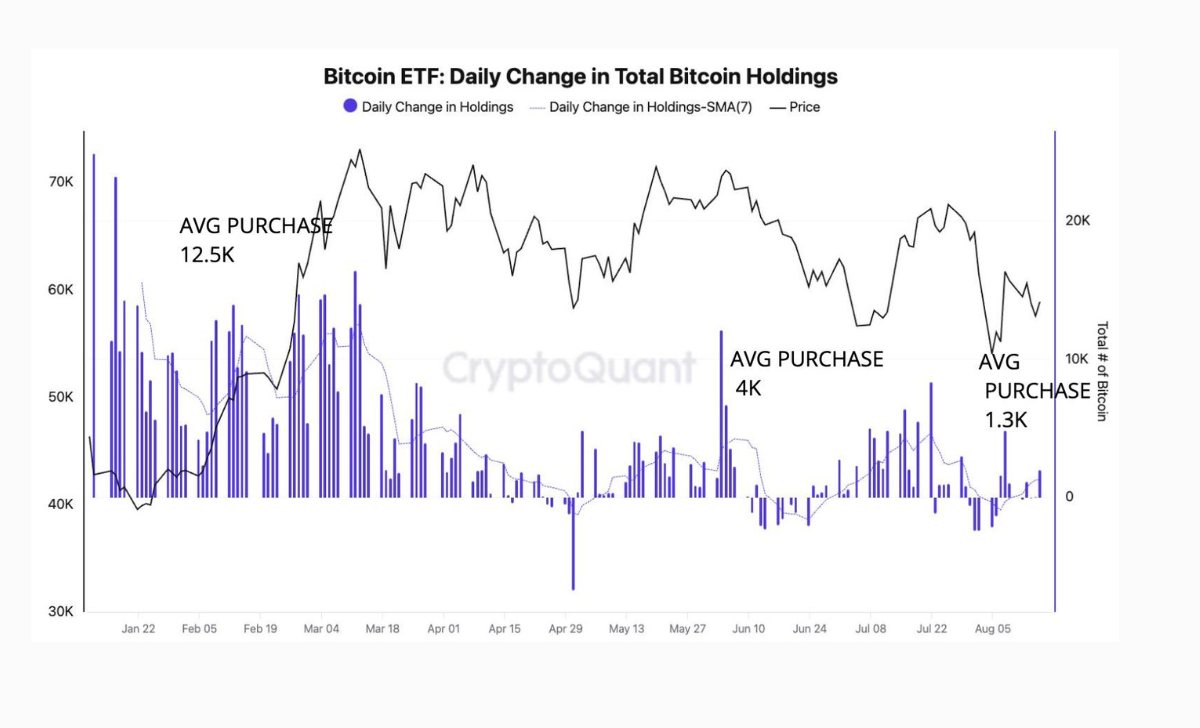 Thay đổi hàng ngày trong tổng số Bitcoin nắm giữ. Nguồn: CryptoQuant

