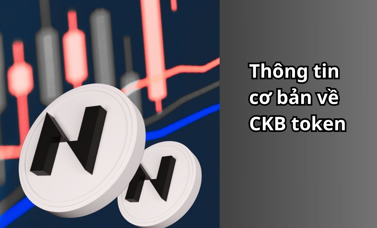 Thông tin cơ bản về CKB token