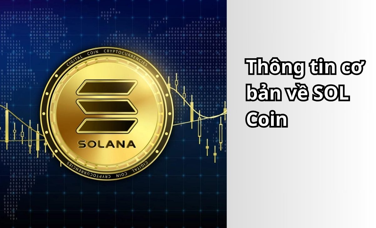 Thông tin cơ bản về SOL Coin