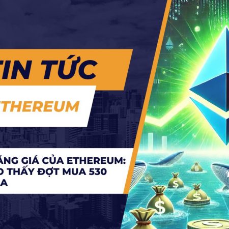 Tín hiệu tăng giá của Ethereum: Cá voi cho thấy đợt mua 530 triệu đô la