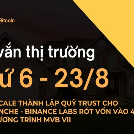 Tin vắn thị trường crypto Thứ 6 – 23/8