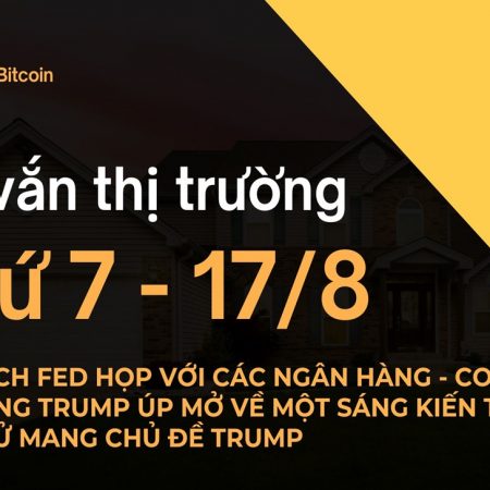 Tin vắn thị trường crypto Thứ 7 – 17/8