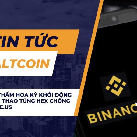 Tòa Phúc thẩm Hoa Kỳ khởi động lại vụ kiện thao túng HEX chống lại Binance.US