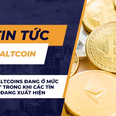 Trader: Altcoins đang ở mức “bán nhà” trong khi các tín hiệu mua đang xuất hiện