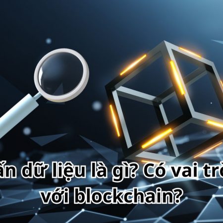 Truy vấn dữ liệu là gì? Có vai trò gì đối với blockchain?