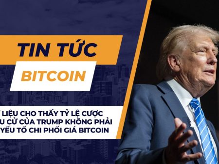 Dữ liệu cho thấy tỷ lệ cược bầu cử của Trump không phải là yếu tố chi phối giá Bitcoin