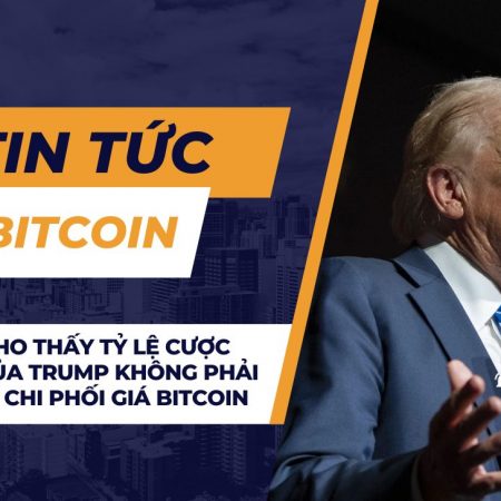 Dữ liệu cho thấy tỷ lệ cược bầu cử của Trump không phải là yếu tố chi phối giá Bitcoin