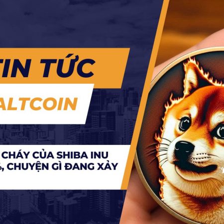 Tỷ lệ đốt cháy của Shiba Inu giảm 100%, chuyện gì đang xảy ra?