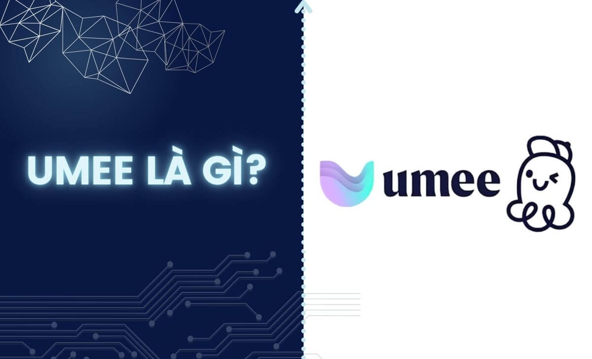 Umee là một nền tảng DeFi đa chuỗi giúp kết nối các blockchain với nhau