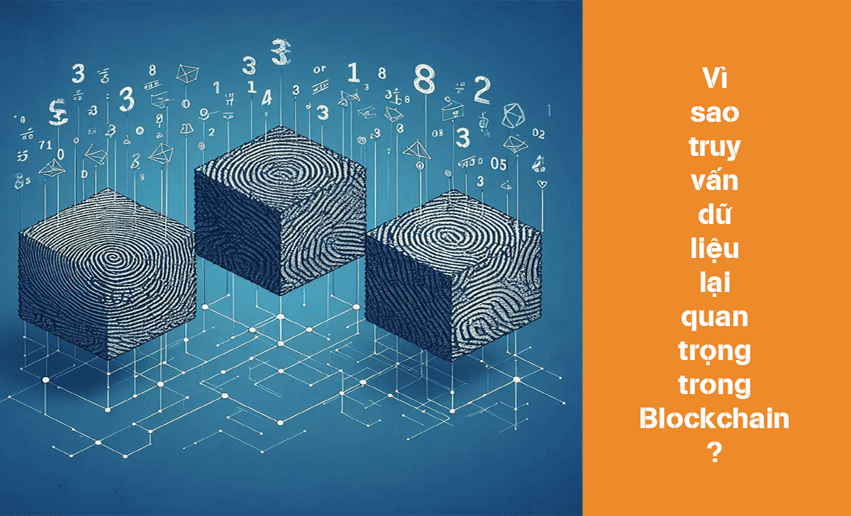 Cùng tìm hiểu vì sao truy vấn dữ liệu lại quan trọng trong Blockchain