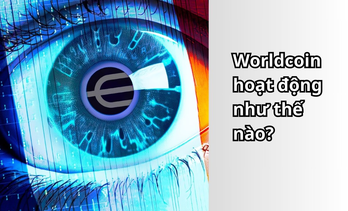 Worldcoin hoạt động như thế nào?